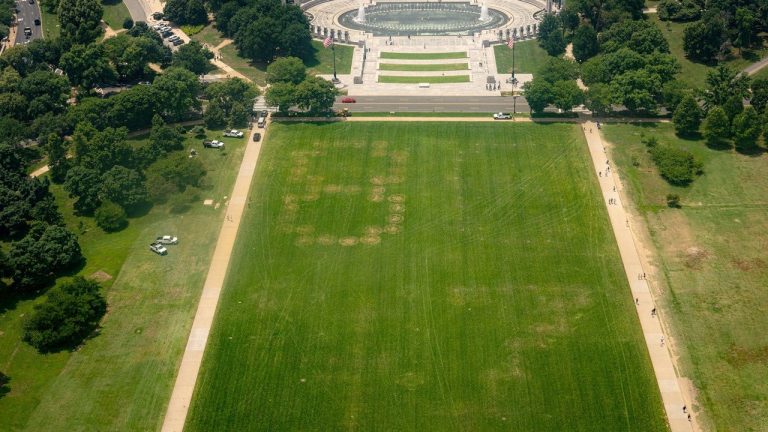 “8647” Message on National Mall Sparks Federal Investigation Amid Rising Trump Security Concerns